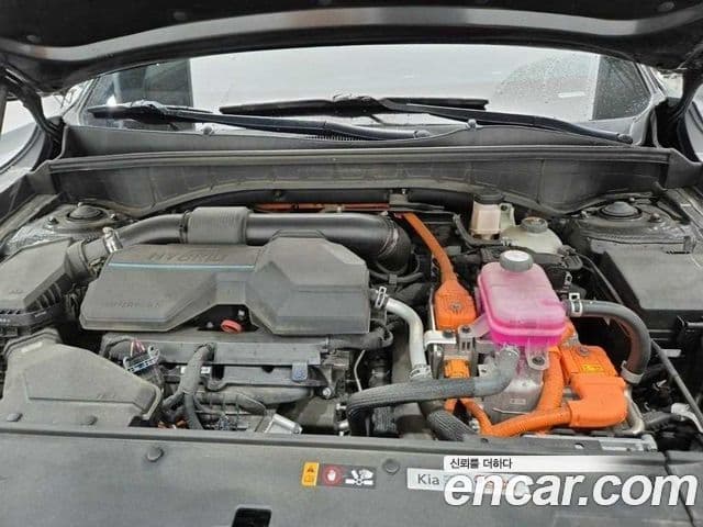 Kia Sorento 2024 — фото 5 из 19