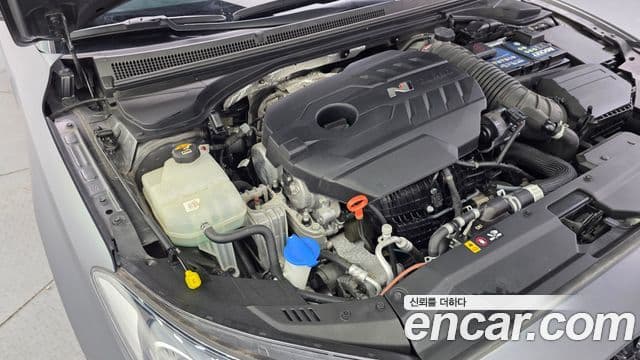 Hyundai Veloster 2019 — Şəkil 6/20