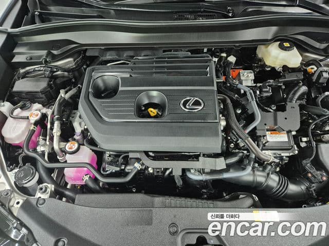 Lexus UX300h 2025 — Şəkil 5/19