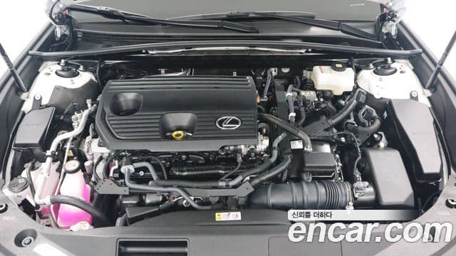 Lexus ES300h 2024 — ფოტო 5/17