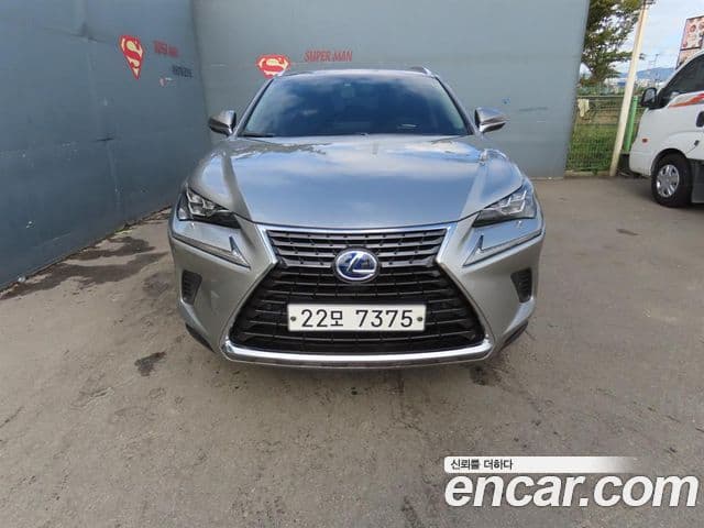 Lexus NX300 2018 — фото 1 из 20