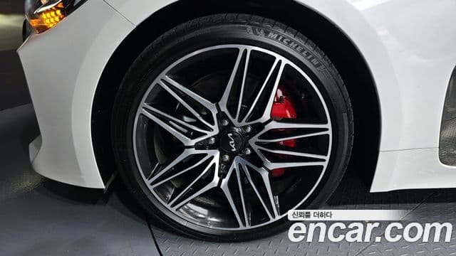 Kia Stinger Meister 2022 — Photo 10/20