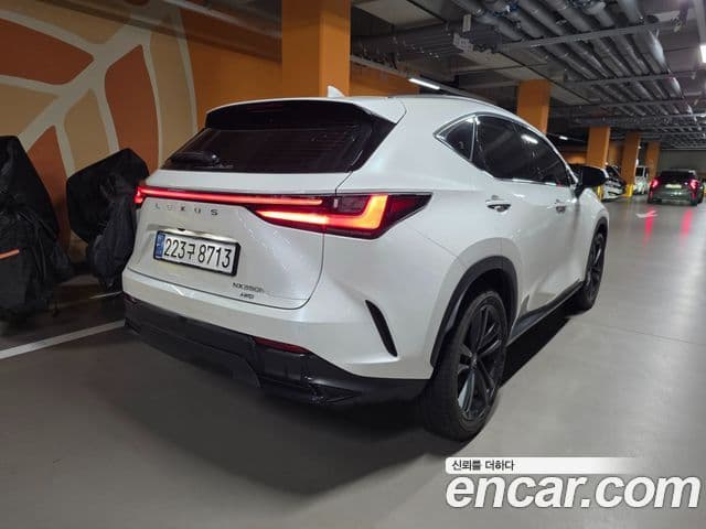 Lexus NX350h, 2024