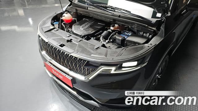 Kia Carnival 2023 — Фото 6/20