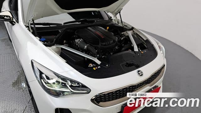 Kia Stinger 2021 — Şəkil 6/20