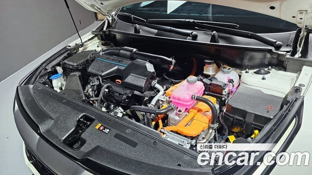 Kia Sportage 2024 — Şəkil 6/20