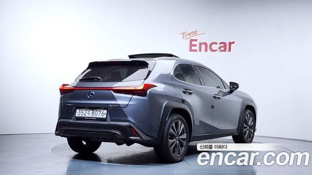 Lexus UX250h 2020 — Фото 2/20