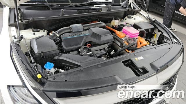 Kia Sportage 2023 — фото 6 из 20