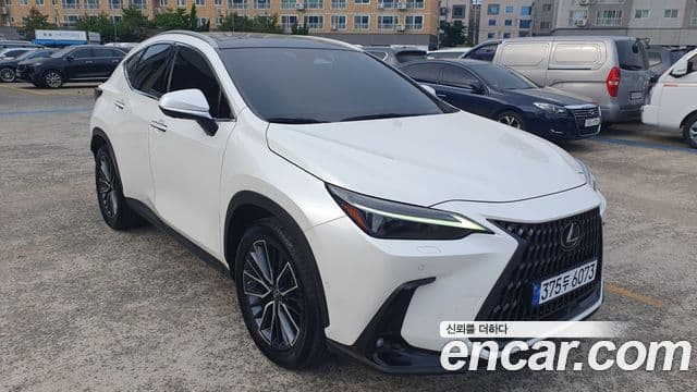 Lexus NX350h 2023 — Фото 9/18