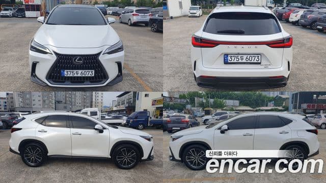 Lexus NX350h 2023 — Фото 2/18