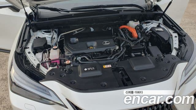 Lexus NX350h 2023 — Фото 17/18