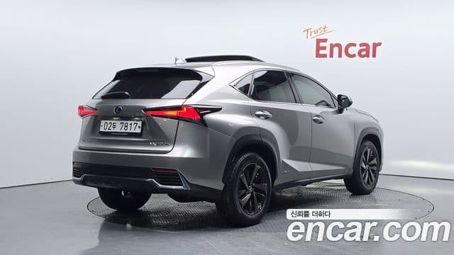 Lexus NX300h 2019 — ფოტო 2/20