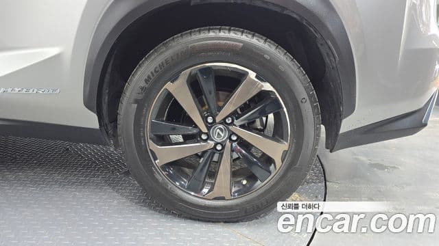 Lexus NX300h 2019 — Photo 7/35