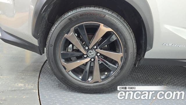 Lexus NX300h 2019 — Photo 29/35