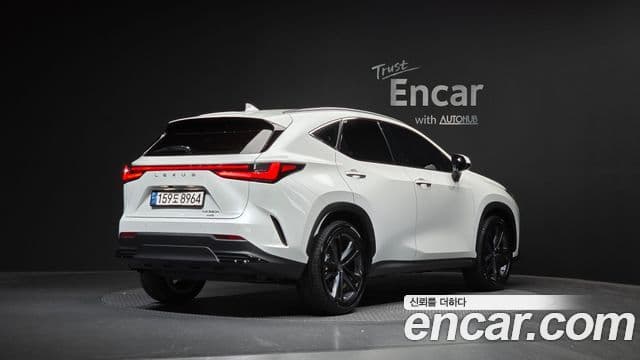 Lexus NX350h 2024 — Фото 2/20