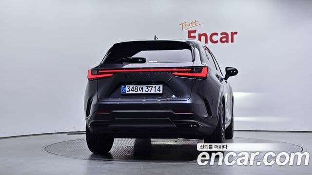 Lexus NX350h 2025 — ფოტო 4/20