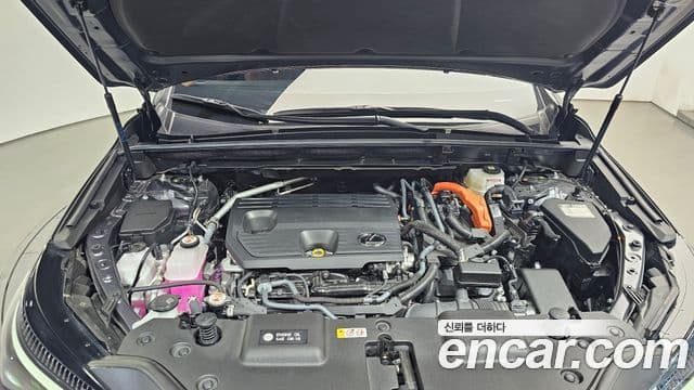 Lexus NX350h 2025 — фото 6 из 20