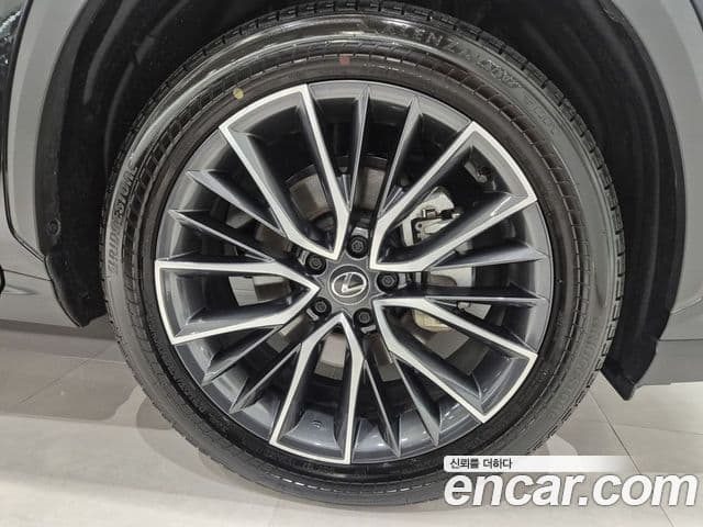 Lexus NX350h 2025 — Şəkil 6/20