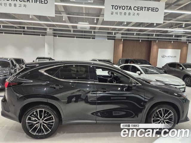 Lexus NX350h 2025 — Şəkil 19/20