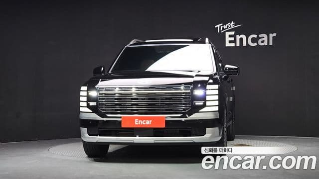Hyundai Palisade 2025 — ფოტო 14/20