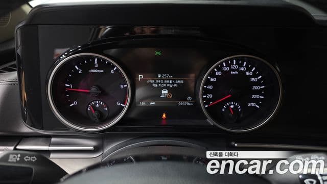 Kia Carnival 2021 — ფოტო 8/20