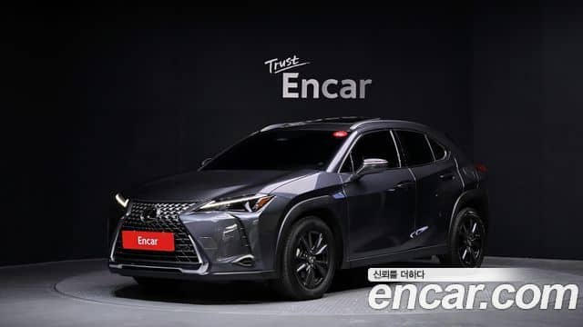 Lexus UX300h, 2024