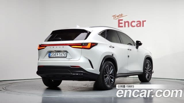 Lexus NX350h 2024 — Şəkil 2/20