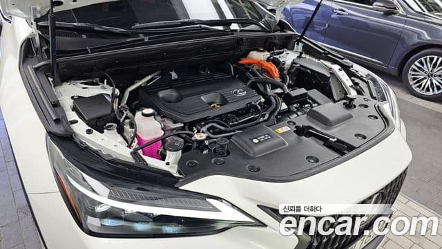 Lexus NX350h 2024 — Şəkil 6/20