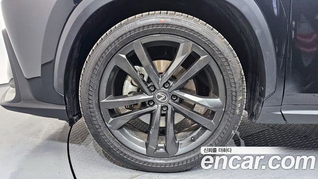 Lexus NX350h 2023 — ფოტო 6/20