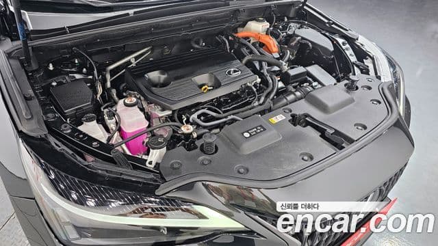 Lexus NX350h 2023 — ფოტო 1/20