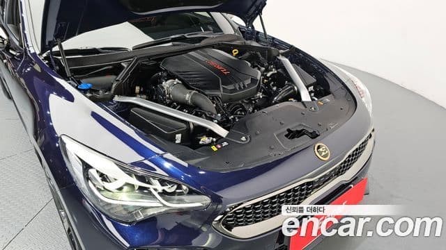 Kia Stinger 2021 — ფოტო 5/20