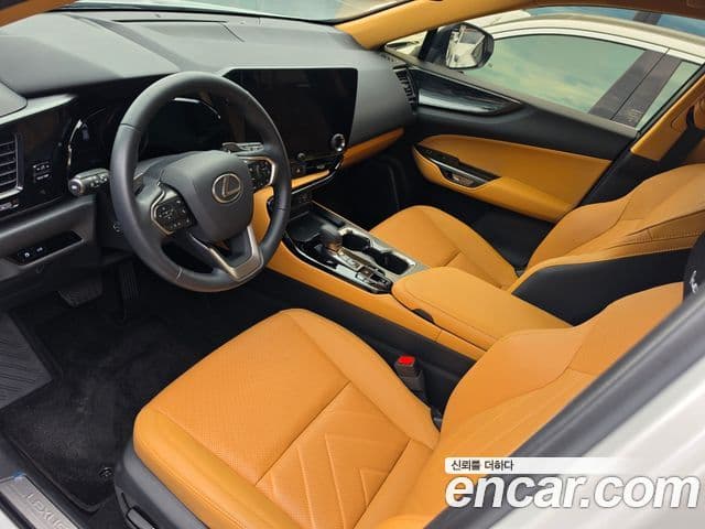 Lexus NX350h 2025 — ფოტო 6/20