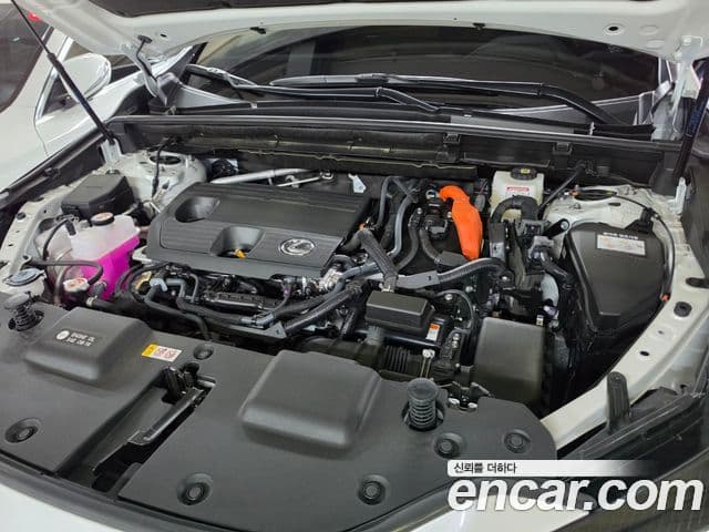 Lexus NX350h 2025 — фото 20 из 20