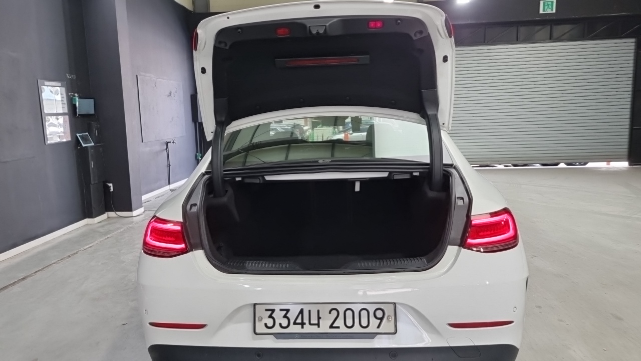 Mercedes-Benz CLS-Class 2020 — ფოტო 15/18