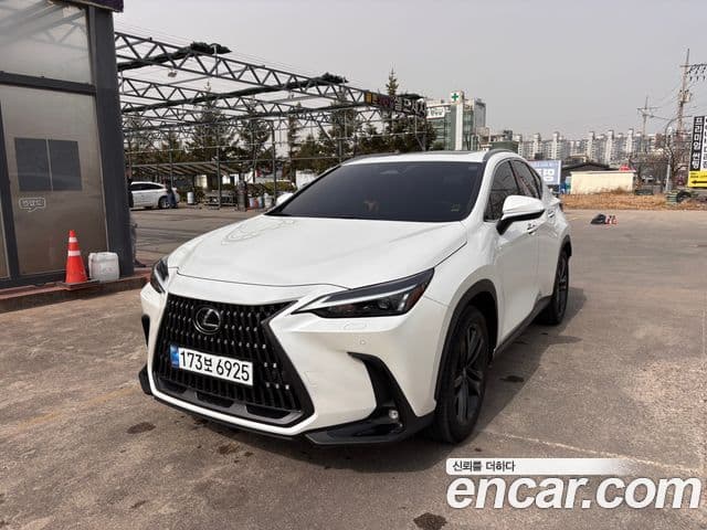 Lexus NX350h 2024 — ფოტო 9/19