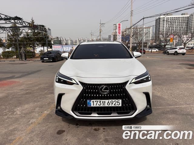 Lexus NX350h 2024 — ფოტო 2/19