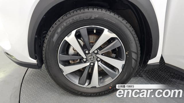 Lexus NX300h 2019 — Şəkil 5/20
