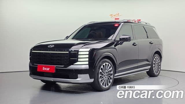 Hyundai Palisade 2025 — ფოტო 16/20