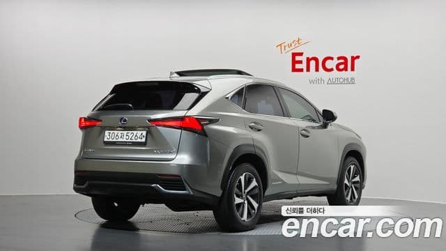 Lexus NX300h 2021 — Фото 2/20