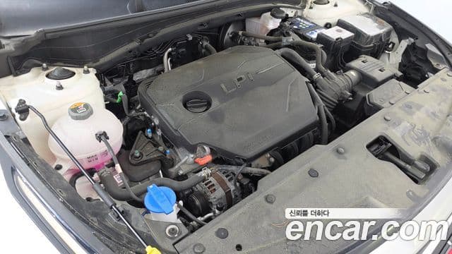 Kia Sportage 2022 — ფოტო 6/20