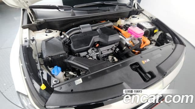 Kia Sportage 2024 — Şəkil 6/20