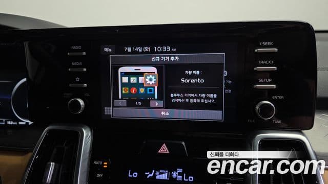 Kia Sorento 2020 — ფოტო 17/20