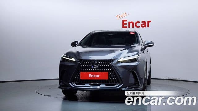 Lexus NX350h 2022 — ფოტო 3/20