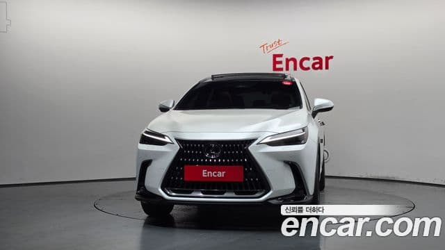 Lexus NX350h 2024 — ფოტო 5/34