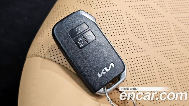 Kia Carnival 2021 — Фото 19/20