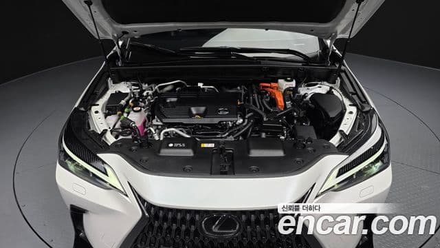 Lexus NX450h+ 2024 — Şəkil 6/20