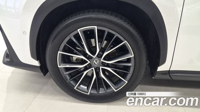 Lexus NX350h 2023 — фото 4 из 20