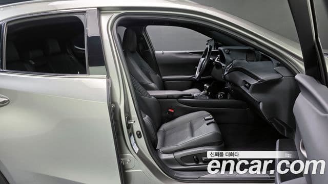 Lexus UX250h 2021 — ფოტო 10/20