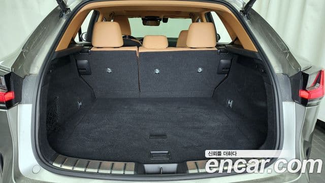 Lexus NX350h 2023 — ფოტო 20/20