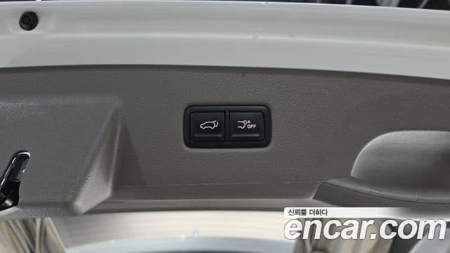 Kia Carnival 2021 — ფოტო 20/20